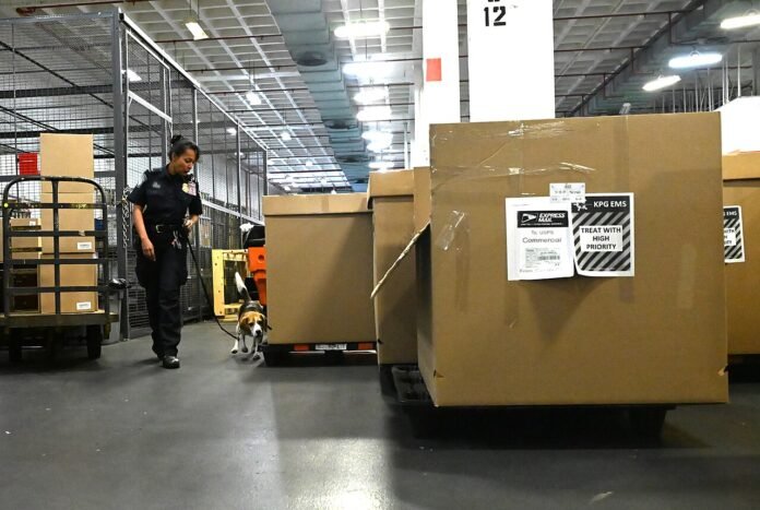 cpsc — licensed file photograph CBP officers inspect arriving international mail at JFK Airport on August 8, 2024