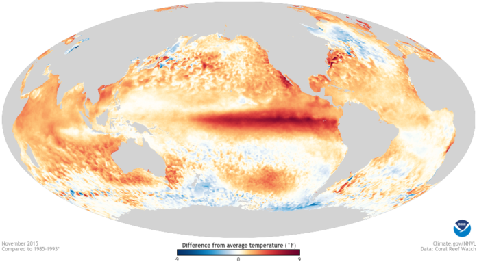 El_Niño_in_November_2015 NOAA historical map of sea-surface temperature anomalies in November 2015, not current 2026 conditions