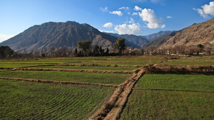 A farmed valley with mountains behind it in Kunar province, Afghanistan