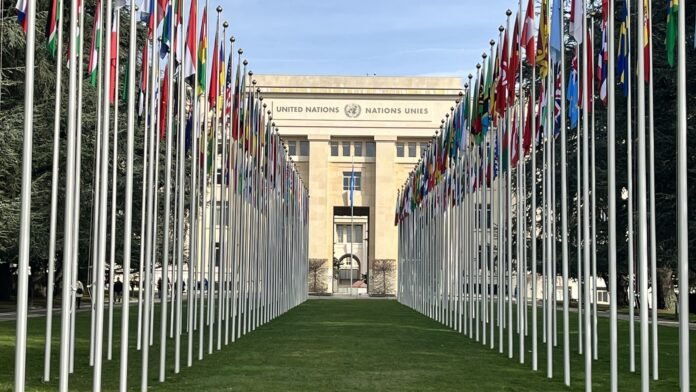 United Nations flags in Geneva — February 2024 file photograph, not the October 2026 meeting