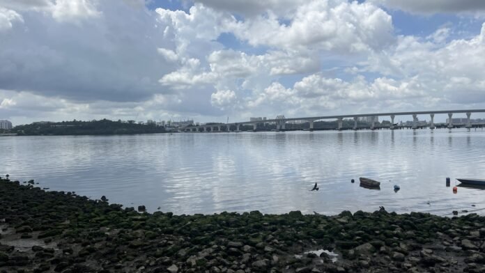 RTS Link marine viaduct viewed from Johor Bahru in February 2025