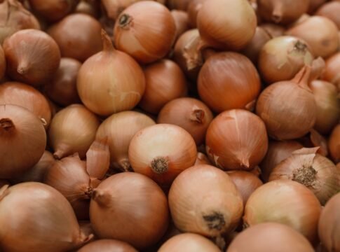 Kanda Express Heads to Agartala With 440 Tonnes of Onions: Arrival Expected October 18